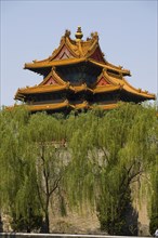 Beijing Botanical Garden