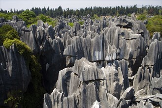 Yunnan,Stone Forest