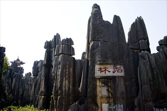 Yunnan,Stone Forest