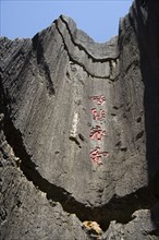 Yunnan,Stone Forest