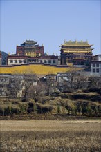 Yunnan,Diqing,shangri-la,Songzanlin Temple,