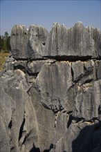 Yunnan,Stone Forest