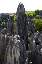 Yunnan,Stone Forest