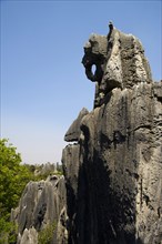 Yunnan,Stone Forest