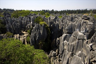 Yunnan,Stone Forest