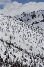 White Horse Snow Mountain,Yunnan