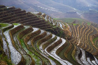 Longji Terraces,Guangxi
