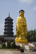 Heilongjiang,Harbin,Kek Lok Si Temple,Buddhist,Buddha,Guanyin,Guanshiyin,