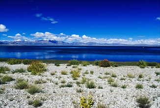 Tibet