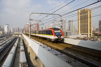 Shanghai Cityscape