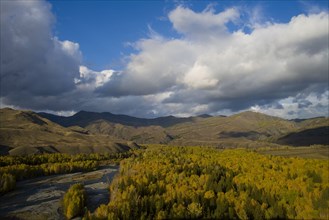 Altay Xinjiang, White Haba,