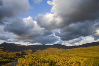 Altay Xinjiang, White Haba,
