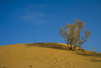 Xinjiang Province, Aletai,