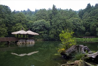 Taiwan, Ali, Botanical Garden,