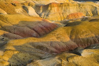 Xinjiang Wucaiwan