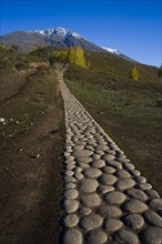 Xinjiang Province, Aletai,