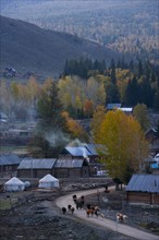 Altay Xinjiang, White Haba,