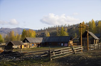 Altay Xinjiang, White Haba,