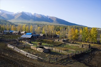 Altay Xinjiang, White Haba,