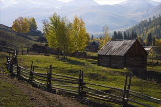 Altay Xinjiang, White Haba,