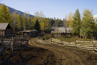 Altay Xinjiang, White Haba,