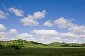 Bashang grassland in Inner Mongolia