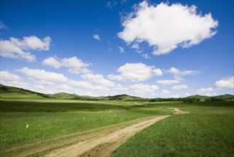 Bashang grassland in Inner Mongolia