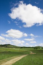 Bashang grassland in Inner Mongolia