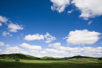 Bashang grassland in Inner Mongolia