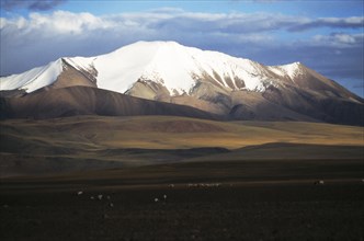 Tibet