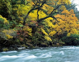 Sichuan Province,Miyaluo