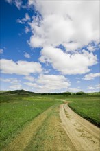 Bashang grassland in Inner Mongolia