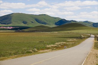 Bashang grassland in Inner Mongolia