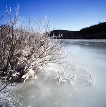 Snow Scene