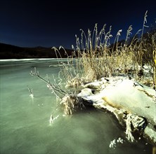 Snow Scene