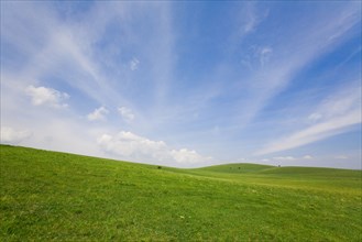 Bashang grassland in Inner Mongolia