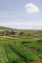 Bashang grassland in Inner Mongolia