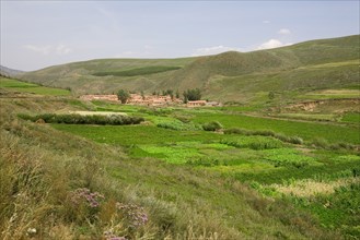 Bashang grassland in Inner Mongolia