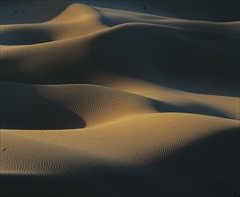 Desert