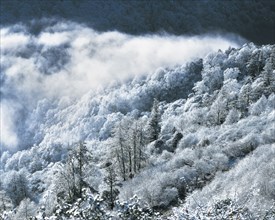 Sichuan Province,Wolong,