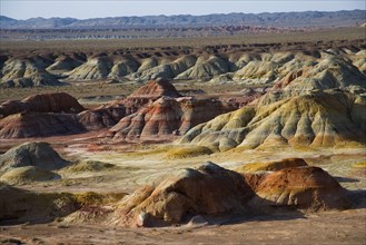 Xinjiang colorful city