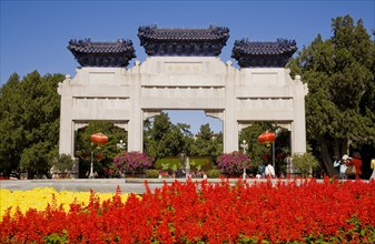 Beijing,Zhongshan Park,Chrysanthemum,