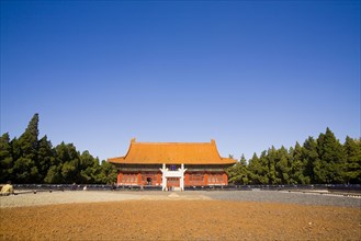 Beijing,Zhongshan Park,Chrysanthemum,