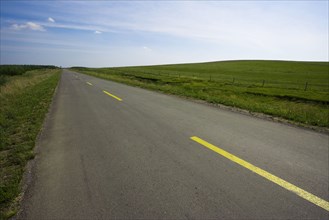 Bashang grassland in Inner Mongolia