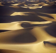 Desert