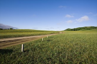 Bashang grassland in Inner Mongolia