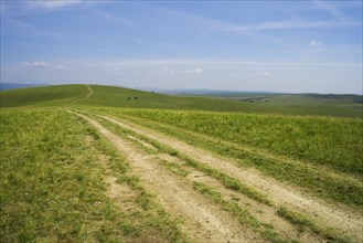Bashang grassland in Inner Mongolia