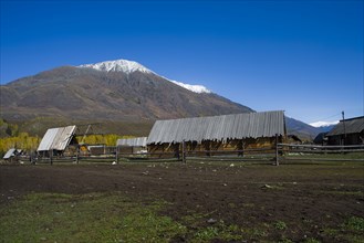 Xinjiang Province, Aletai,