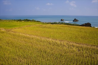 Taiwan, East of Taiwan, Highway,