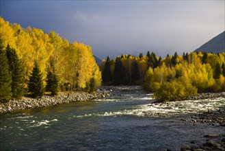 Xinjiang Province, Aletai,